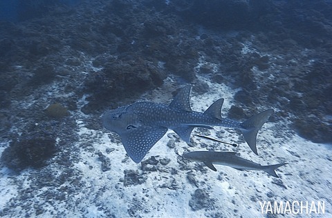 3ABC975E-5061-47CB-A7BA-26A5D1740B8E