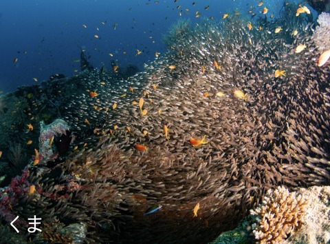 39EA2804-1215-4CCE-8E2D-4FB8EBC6111D