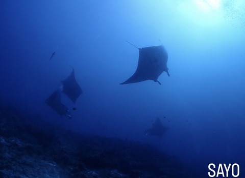 875E76CC-6774-431D-A9E5-F047FE8F9A94