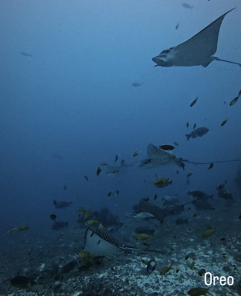 E580BCDC-91AB-4FF1-BB02-E672492C802D