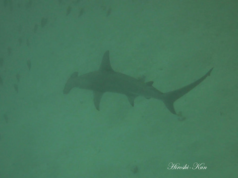 307318511_5750551628317910_4013485303033754056_n