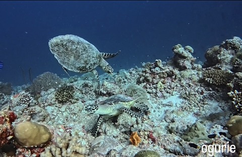 27662ED2-FCE7-4EE0-90A2-FA44D067080A