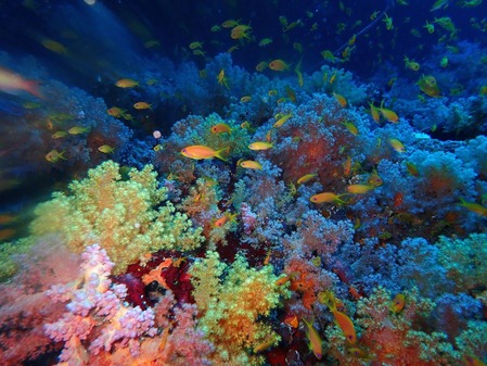 よしろうさん(2)