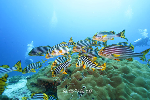 406804213_6917944424966477_4943119555084943663_n