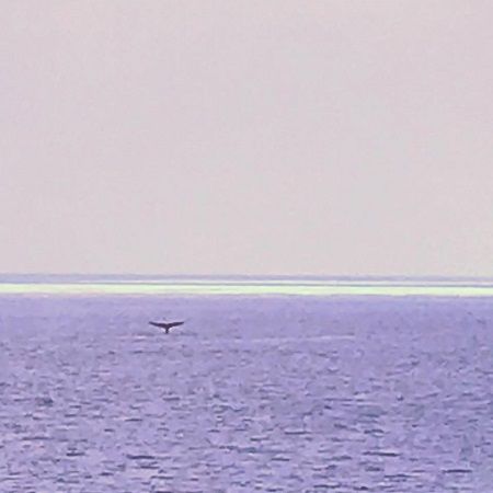 46506062_329776191135510_7312993694812995584_n