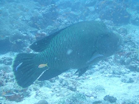 P8120020 - コピー