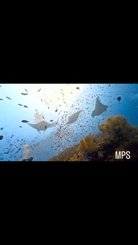 A7D02CA9-5AC5-4B8F-856B-607E99B445FA