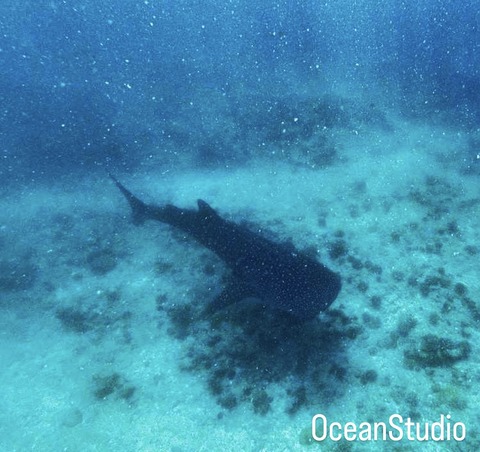 6BB3DA17-6D72-4ED5-A5AF-E68C7A611459