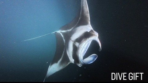 F4AAF6D4-190C-4EC0-9C1E-28E80F03B0EC