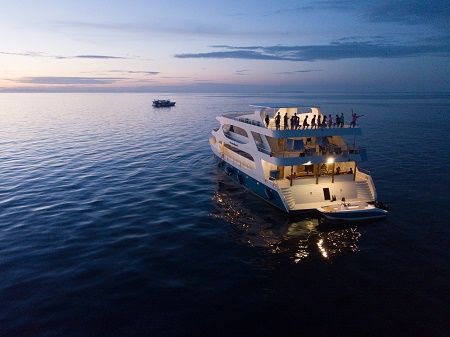 41632264_494993677576974_3738120310717677568_n