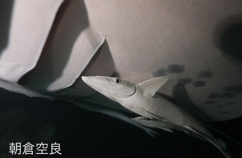 C5164299-9FE7-4F86-B8B8-C1AE5F8996F0