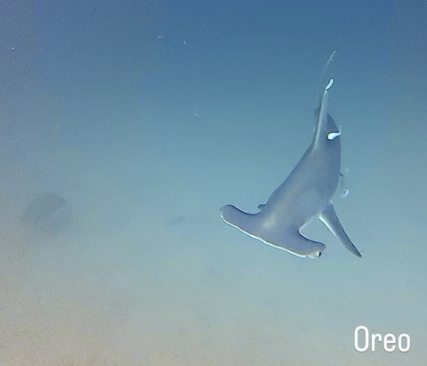 5680CF7A-07E0-45C1-BE5D-35936DA0F70D