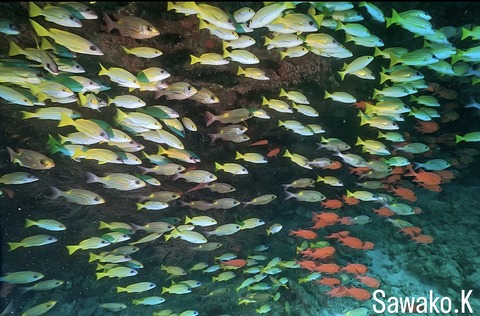 84BE98CC-343C-4972-9A24-B94DF3A94D5C