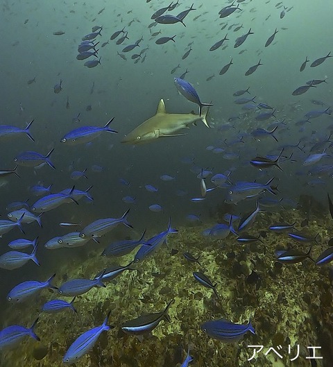 224E8421-0290-417E-892A-D62DB4F6C97B