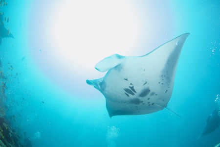 名称未設定-1(ドラッグされました) 4