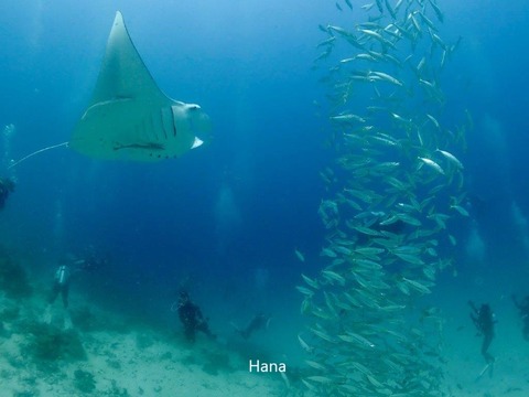 IMG_8314 - コピー