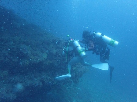 40540778_232576477601615_2975628126639357952_n