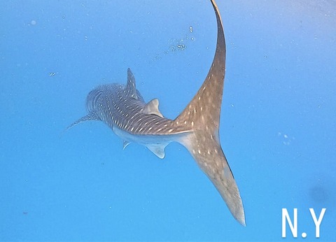 6168F277-A574-479A-9EF5-AE670639E110