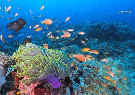 30912367_930787190436702_2053330989_o