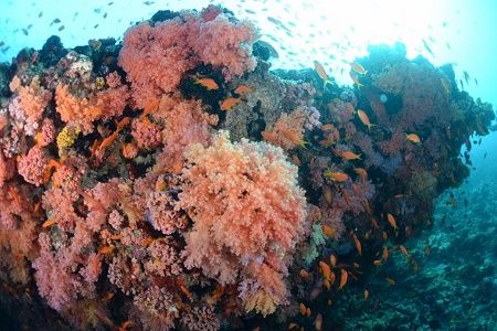 38878187_2133380100249986_954023046597836800_n