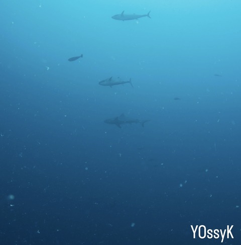 0409BFB7-DF5C-4AB2-89E9-4820464C9ED0