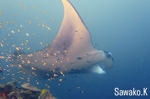 3021EE08-462B-4089-ADB4-F69F23F4003D