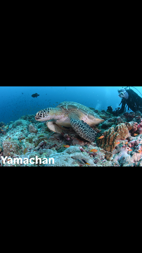 56278A3F-E16B-4FFF-A95D-5F0DA7C2C9F6