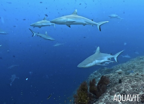 4C0CB96F-6C3E-471C-A8DF-8FABEBF45099