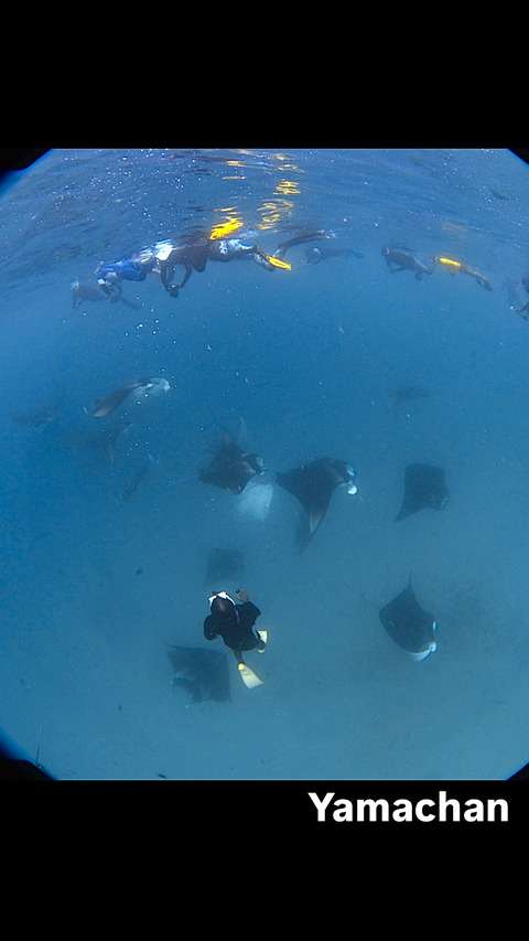 B7204F34-B6DB-4D26-B5A7-4217BA9D55A7