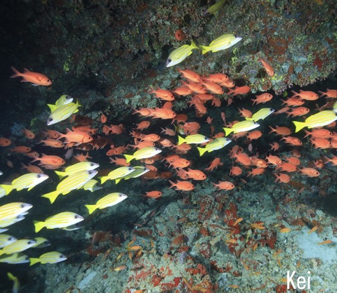 0AE1BE05-5B7C-4FD7-88DE-750CC78C156C