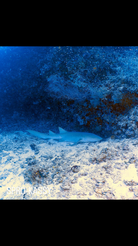 EB033996-8414-4966-BE6C-BD1248C671AB