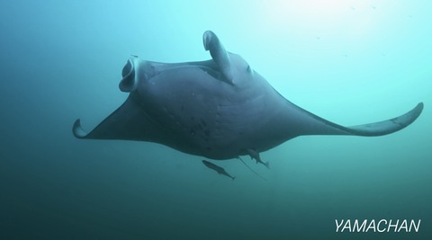 F578E646-C4FA-4DD2-A375-6C80A73D477C