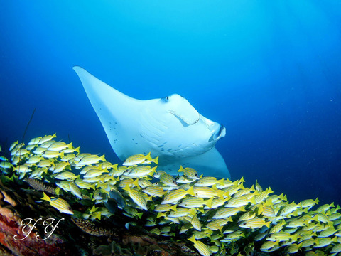 69C35D2E-76D7-4F02-8371-008ED9E916F9