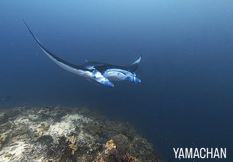 FE062F4E-9676-474A-980B-C168AEC0272E