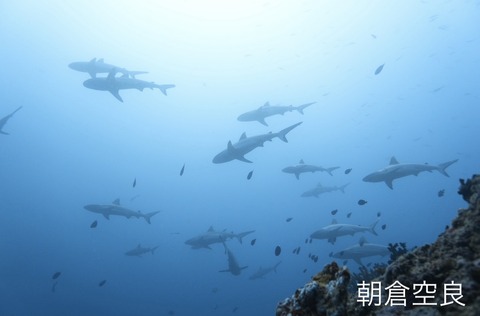 BF681E75-3529-4E4B-B9D4-D1580AA1B3DB