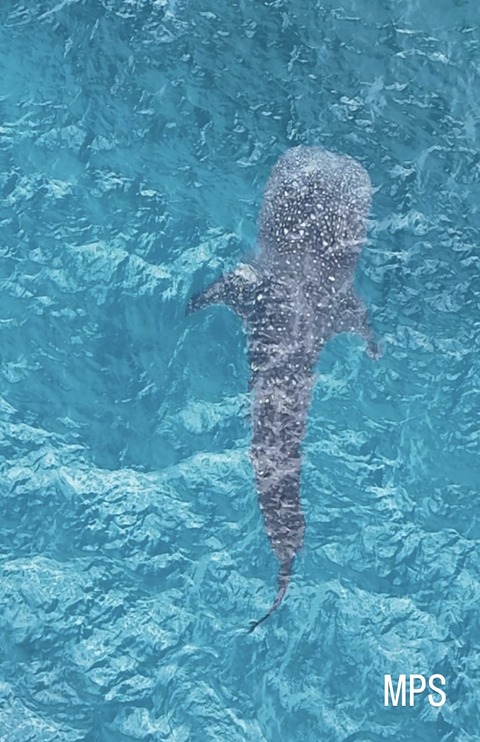 8674FB89-7CA1-4712-B921-34B4E964E0F3