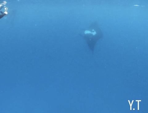 55DF5B7E-3715-48DB-BDFB-293B0B45FD5A