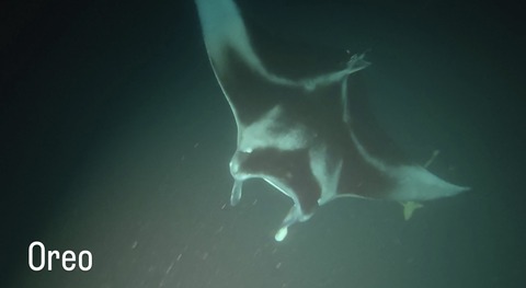 BD4BA08B-C22B-45C9-8908-111606542DC2