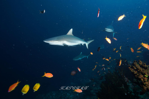 408540365_6917943721633214_6775406067545776936_n