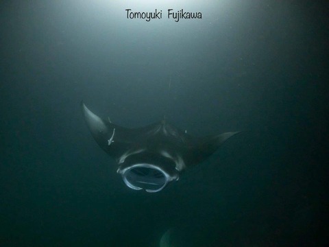 375912107_6583275718433351_8786269795575080882_n