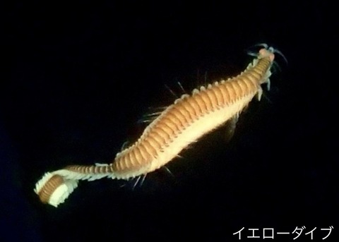 2018AC9F-79BA-4EDB-B7FE-48D7B919BB3A