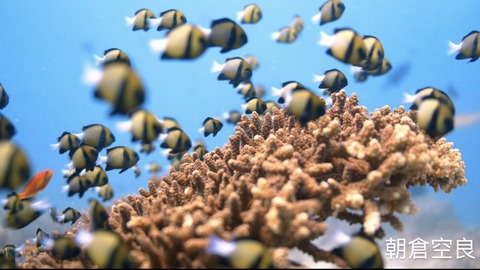 2A53DCE0-6446-4E55-8261-4E89435D187C