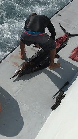 46479587_338154136768379_3209972193828012032_n