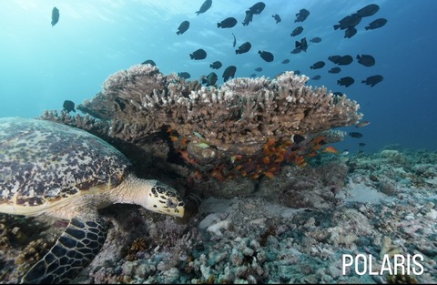 21232F7B-68F4-4CAB-AF52-079C41383F7E