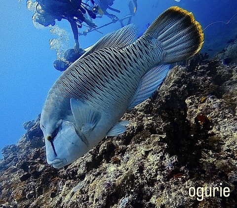 B9C7F669-06DF-4819-B942-CB7B66AF6642