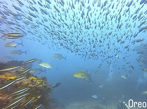 F16635FD-CA34-4540-9445-AF07C54AA9A8