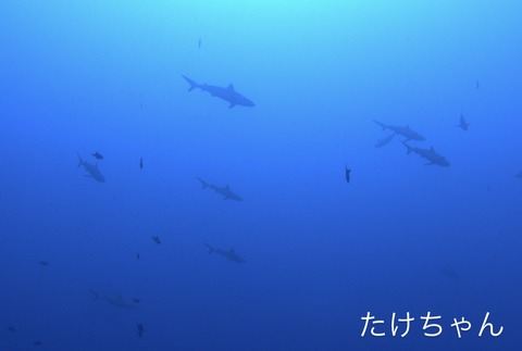 6D350CA1-D56F-4969-8004-CBB86A7D7915