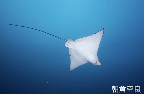 7E0ACF7E-DEFD-43B2-9701-AE6939F4F258