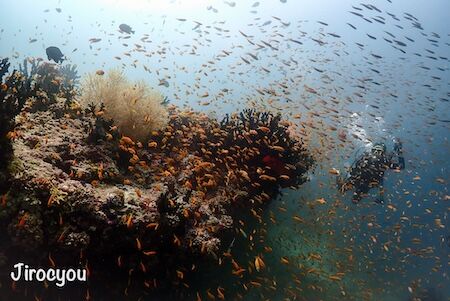 清水さんフォトコン１
