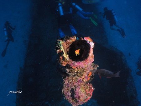 30849789_930787177103370_2039436047_o